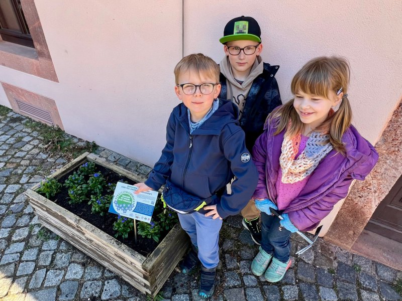 Kinder in Mittelsachsen am VERGISS?MEIN!NICHT-Tag