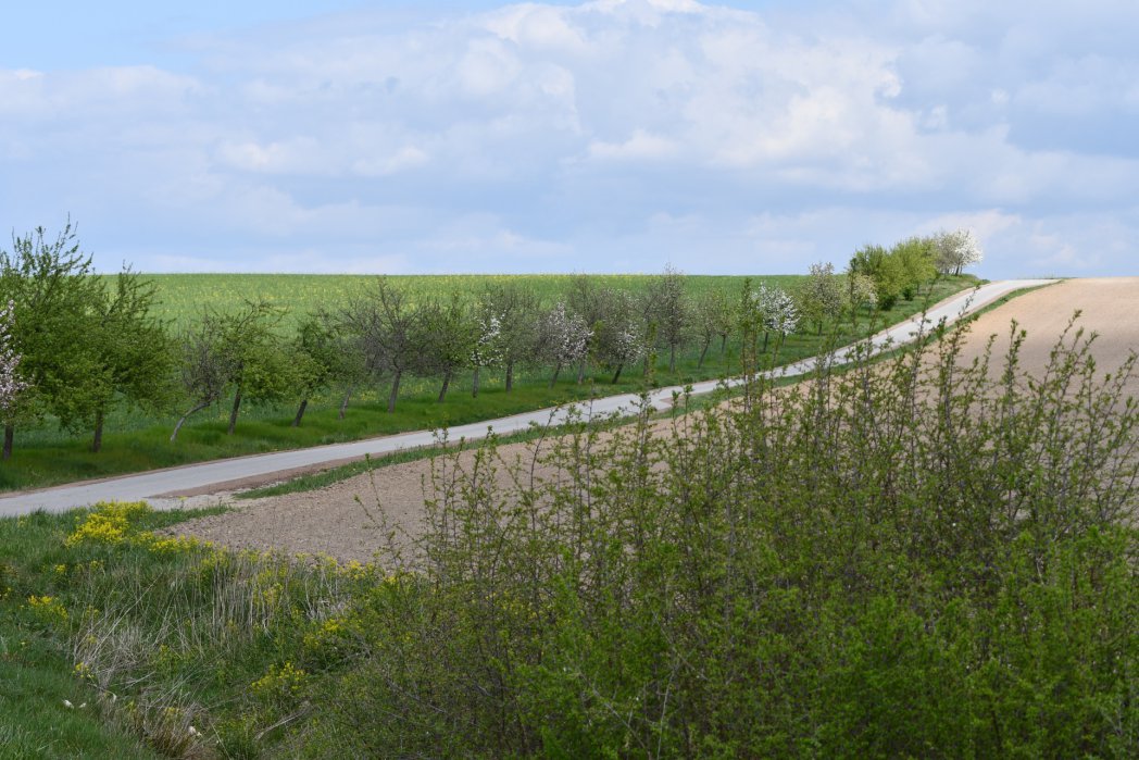 Frühling