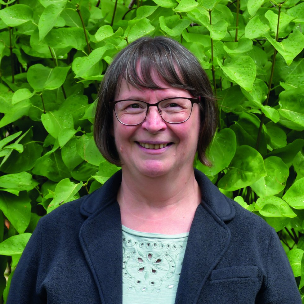 Renate Weise, Landesinitiative Demenz Sachsen